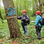 علوم و مهندسی جنگل