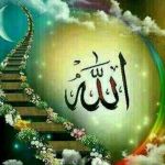 فریدون زمان