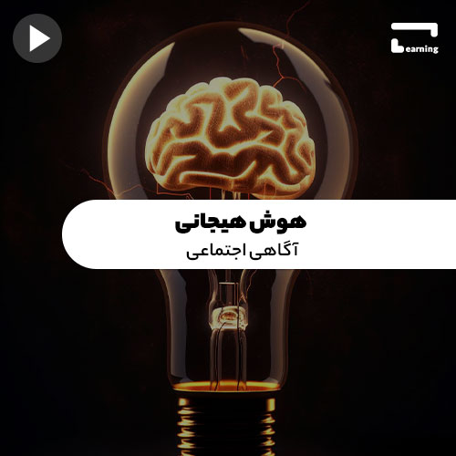 هوش هیجانی: آگاهی اجتماعی