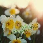 محمدعلی زارع