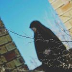 فاطمه آقامحمدی