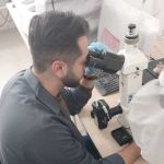 مهندس صادق فاضلیان